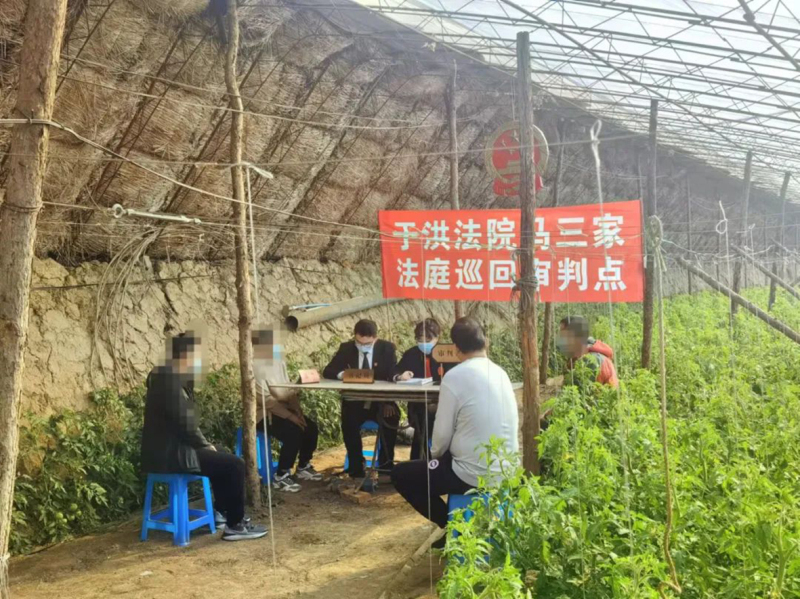 于洪區(qū)法院配圖——巡回法庭開(kāi)庭