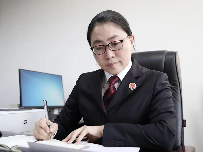 國(guó)小丹整理案件線索。