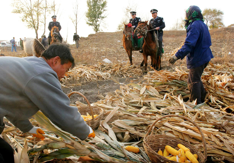 2009年10月，“馬背110”民警在田間巡邏。