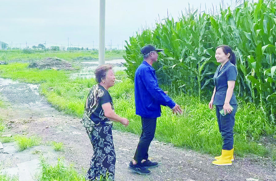 楊光法官在案涉玉米桿堆放現(xiàn)場(chǎng)