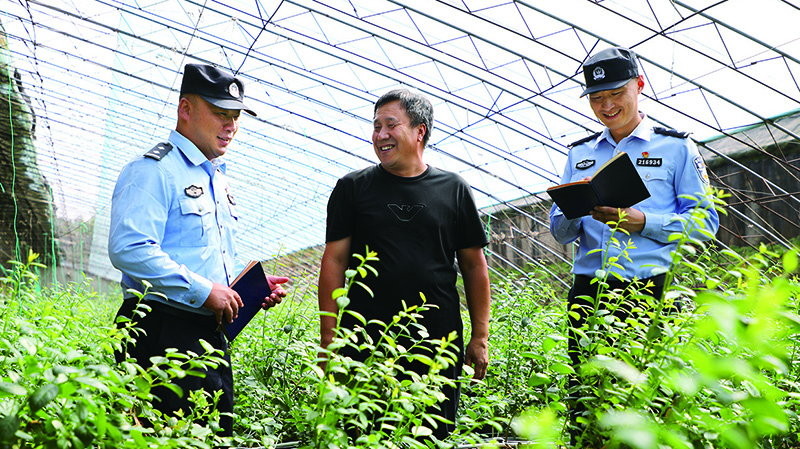 民警沉入大棚了解藍(lán)莓種植情況 (3)