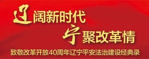 致敬改革開放40周年遼寧平安法治建設經(jīng)典錄